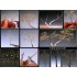Teloxys Aristata (box: 30 x 5 x 5cm) for Making Tree Leaves Teloxys Aristata (box: 30 x 5 x 5cm) for Making Tree Leaves