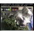 Climbing Plants Vine (box: 30 x 5 x 5cm) Climbing Plants Vine (box: 30 x 5 x 5cm)