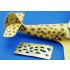 1/48 Blotch - Mask Set - Etch 1/48 Blotch - Mask Set - Etch
