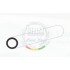 White Styrene Round Tubing Diameter: 3.2mm/.125 - 5pcs Length: 35cm (14) White Styrene Round Tubing Diameter: 3.2mm/.125 - 5pcs Length: 35cm (14)