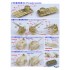 1/350 WWII USN Fletcher Class Destroyer Complete Upgrade set for Tamiya kit #78012 1/350 WWII USN Fletcher Class Destroyer Complete Upgrade set for Tamiya kit #78012