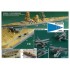 1/700 WWII IJN Battleship Nagato 1944 Upgrade set for Aoshima kits (Standard) 1/700 WWII IJN Battleship Nagato 1944 Upgrade set for Aoshima kits (Standard)