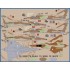1/48 USN/USMC F-21A Lion Cubs Aggressors Decals for Kinetic kits 1/48 USN/USMC F-21A Lion Cubs Aggressors Decals for Kinetic kits