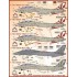 Decals for 1/48 F-14 VF-111 Sumdowners Anthology Decals for 1/48 F-14 VF-111 Sumdowners Anthology
