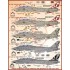 Decals for 1/48 F-14 VF-111 Sumdowners Anthology Decals for 1/48 F-14 VF-111 Sumdowners Anthology