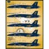 Decals for 1/48 US Navy F/A-18E/F Flight Demo Team 2021 Decals for 1/48 US Navy F/A-18E/F Flight Demo Team 2021