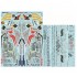 Decals for 1/48 Air Wing All-Stars Super Hornets PT V Decals for 1/48 Air Wing All-Stars Super Hornets PT V