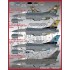 Decals for 1/48 PACAF F-16 Viper Demo Decals for 1/48 PACAF F-16 Viper Demo