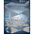 Decals for 1/48 US Navy Tomcat Colours & Markings Part V Decals for 1/48 US Navy Tomcat Colours & Markings Part V