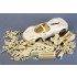 1/24 Ferrari Daytona SP3 Sports Car 1/24 Ferrari Daytona SP3 Sports Car