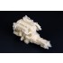1/24 Toyota 2JZ Engine Kit (Resin+PE) 1/24 Toyota 2JZ Engine Kit (Resin+PE)