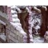 1/72 WWII Bastogne December 1944 - Diorama Set 1/72 WWII Bastogne December 1944 - Diorama Set