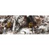 1/72 WWII Stalingrad Siege Operation Uranus Battle Set 1/72 WWII Stalingrad Siege Operation Uranus Battle Set