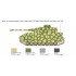 1/35 PzKpfw. IV Medium Tank 1/35 PzKpfw. IV Medium Tank