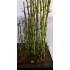1/30, 1/32, 1/35, 1/48, 1/50 Bamboo Leaves set 1/30, 1/32, 1/35, 1/48, 1/50 Bamboo Leaves set