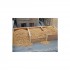 1/87 (HO scale) Sugar Beets (60g) 1/87 (HO scale) Sugar Beets (60g)