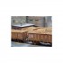1/87 (HO scale) Sugar Beets (60g) 1/87 (HO scale) Sugar Beets (60g)