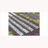 1/87 (HO scale) Green Cabbage Plants (440pcs) 1/87 (HO scale) Green Cabbage Plants (440pcs)