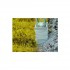 1/87 (HO scale) Concrete Pedestal (19x19mm, 15x) 1/87 (HO scale) Concrete Pedestal (19x19mm, 15x)