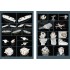 1/200 USS BB-39 Arizona Upgrade Pack for Trumpeter #03701 1/200 USS BB-39 Arizona Upgrade Pack for Trumpeter #03701
