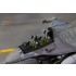 Egg Plane F-16 Fighting Falcon ACES ll Ejection Seat for Freedom/Hasegawa kits Egg Plane F-16 Fighting Falcon ACES ll Ejection Seat for Freedom/Hasegawa kits