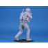 1/16 US Navy Seal Team Operator (1 Figure) 1/16 US Navy Seal Team Operator (1 Figure)