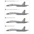 1/48 Sukhoi Su-27 Flanker B Heavy Fighter Service in China 30th Annversary 1/48 Sukhoi Su-27 Flanker B Heavy Fighter Service in China 30th Annversary