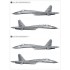 1/48 Sukhoi Su-27 Flanker B Heavy Fighter Service in China 30th Annversary 1/48 Sukhoi Su-27 Flanker B Heavy Fighter Service in China 30th Annversary