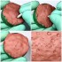 1/35 Animal Paw Print Stamps 1/35 Animal Paw Print Stamps
