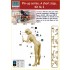 1/24 Pin-Up Series - A Short Stop kit No.2 (1 Female Figure) 1/24 Pin-Up Series - A Short Stop kit No.2 (1 Female Figure)