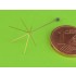 1/72 WWII German 1.8m Star Antenna for Command Tanks (1pc) 1/72 WWII German 1.8m Star Antenna for Command Tanks (1pc)