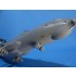 1/144 Ilyushin Il-76 Detail Set for Zvezda kits 1/144 Ilyushin Il-76 Detail Set for Zvezda kits