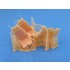 1/48 Bell V-22 Osprey Interior Detail Parts for HobbyBoss kits 1/48 Bell V-22 Osprey Interior Detail Parts for HobbyBoss kits