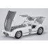 1/12 Mercedes-Benz 300SLR Coupe Multi-material kit 1/12 Mercedes-Benz 300SLR Coupe Multi-material kit