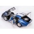 1/12 Cobra Coupe #CSX2601 1965 Daytona/Sebring/LM #CSX2286 1965 LM 1/12 Cobra Coupe #CSX2601 1965 Daytona/Sebring/LM #CSX2286 1965 LM