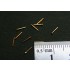 Meter Switch (50pcs) Meter Switch (50pcs)