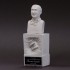 1/12 Dive Nine Figure F1 Champion Series - Driver Type A.A Bust 1/12 Dive Nine Figure F1 Champion Series - Driver Type A.A Bust