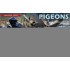 1/35 Pigeons (36pcs) 1/35 Pigeons (36pcs)