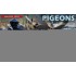 1/35 Pigeons (36pcs)