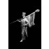 120mm French Line Infantry Eagle Bearer (1 figure) 120mm French Line Infantry Eagle Bearer (1 figure)