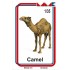 1/35 Camel 1/35 Camel