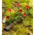 1/35, 1/32 Poppies Mini Flowers 1/35, 1/32 Poppies Mini Flowers