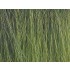 Reed Assortment (21g, green, beige, brown)
