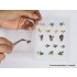 HO Scale Water and Riverside Plants (17 plants) HO Scale Water and Riverside Plants (17 plants)