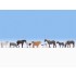 HO Scale Farm Animals HO Scale Farm Animals