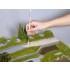 Terrain Structure Paste Field & Nature Terrain Structure Paste Field & Nature