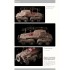 Nuts & Bolts Vol.36 - Bussings Schwere Panzerspahwagen Part.2 SdKfz.233 & 263 Nuts & Bolts Vol.36 - Bussings Schwere Panzerspahwagen Part.2 SdKfz.233 & 263