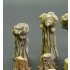 1/35 Willows and Stumps 1/35 Willows and Stumps