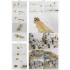1/200 USS BB-63 Missouri 1945 Detail set for Trumpeter (Teak Tone Wood Deck+PE+Barrels...) 1/200 USS BB-63 Missouri 1945 Detail set for Trumpeter (Teak Tone Wood Deck+PE+Barrels...)