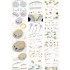 1/200 IJN Mikasa 1905 Detail Set w/Wooden Deck for Merit International #62004/Trumpeter 1/200 IJN Mikasa 1905 Detail Set w/Wooden Deck for Merit International #62004/Trumpeter